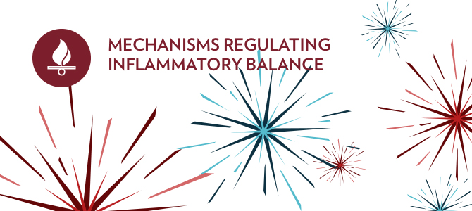 Regulating inflammatory balance with Aging Defense Mechanisms